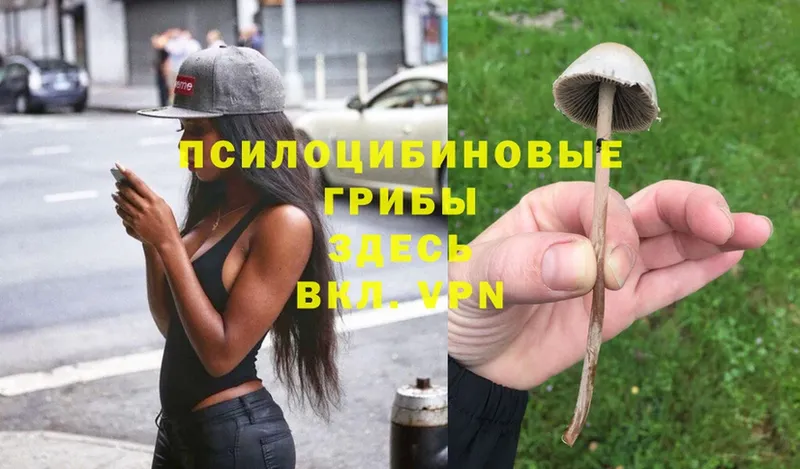 Псилоцибиновые грибы Magic Shrooms  Благодарный 